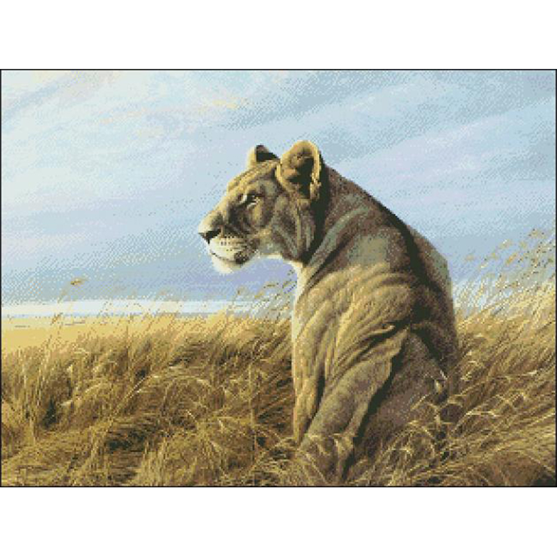 DW552 haft krzyżykowy z zestaw – Embroidery Vs Cross Stitch recenzja i cena